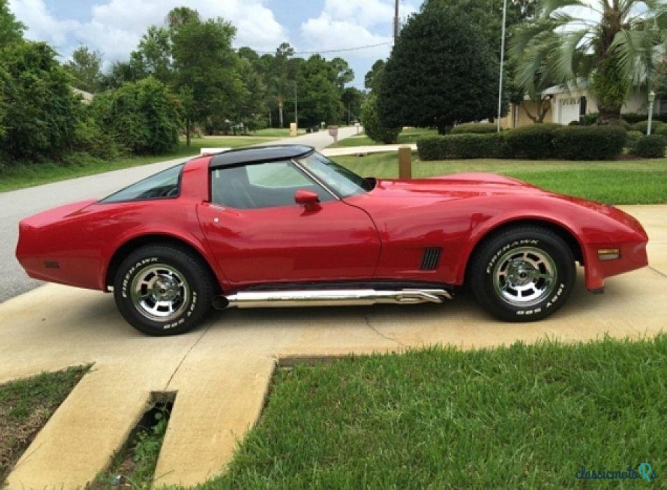 1981' Chevrolet Corvette photo #3