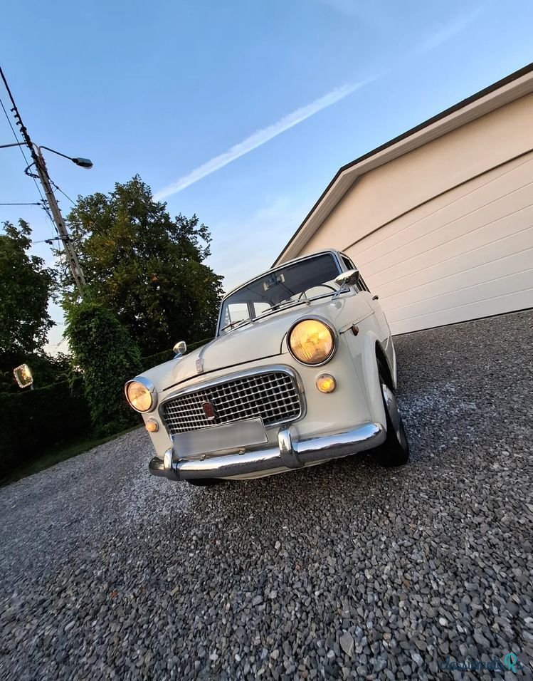 1960' Fiat 1100 Special photo #1