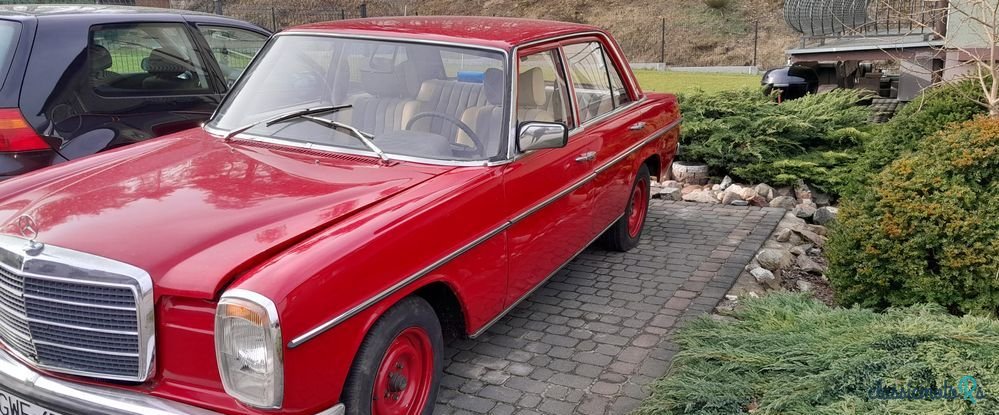 1977' Mercedes-Benz W114 W115 photo #3