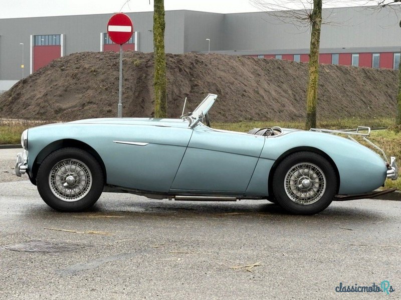 1954' Austin-Healey 100 photo #3