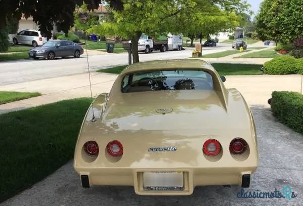 1977' Chevrolet Corvette photo #6