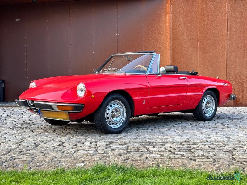 1975' Alfa Romeo Spider photo #3