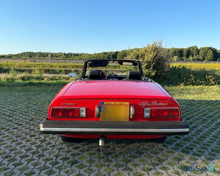 1974' Alfa Romeo Spider 2.0 photo #5