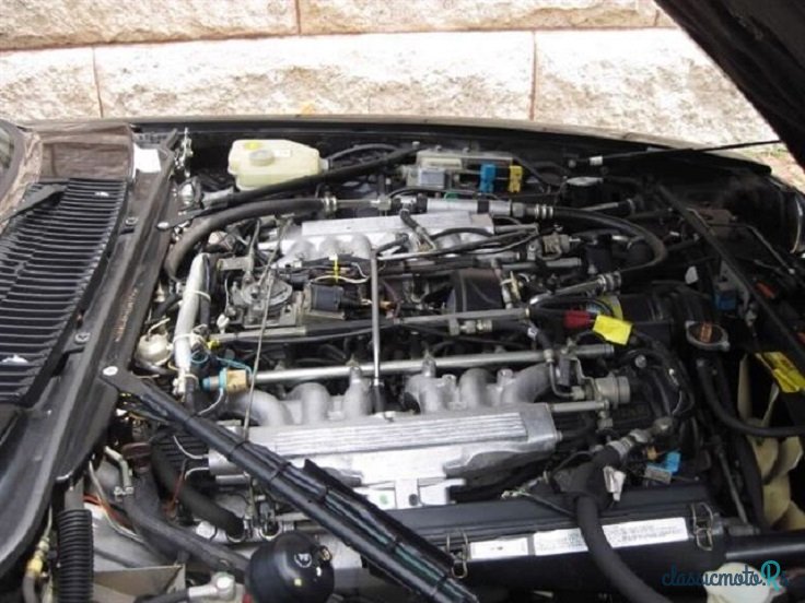 1989' Jaguar XJS photo #6