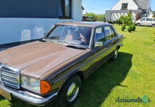 1979' Mercedes-Benz W123 photo #2