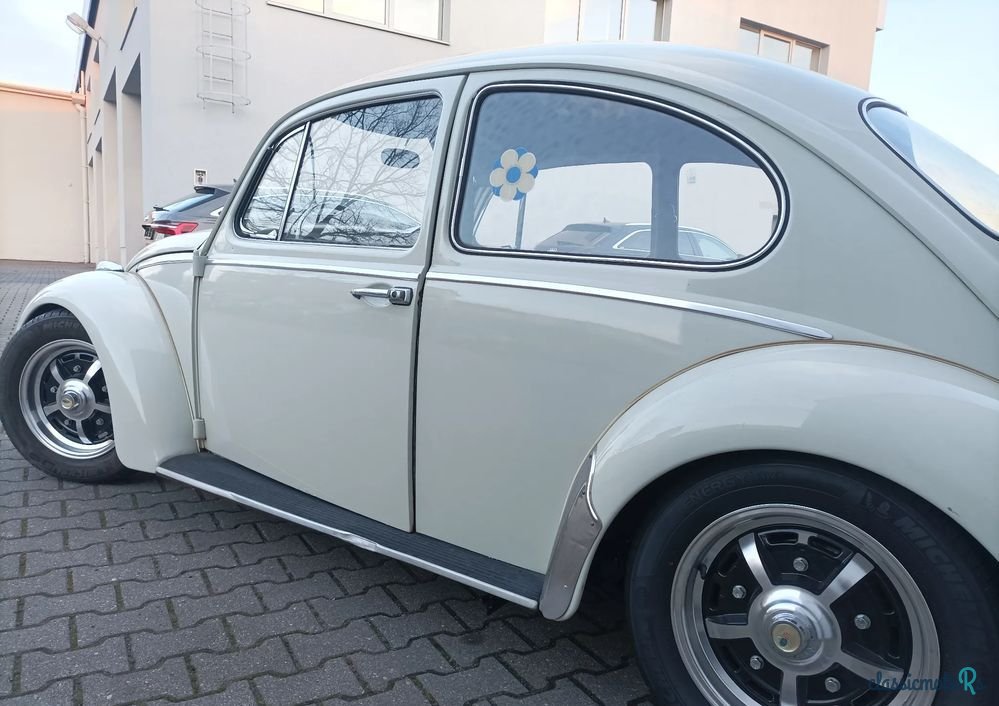 1964' Volkswagen Garbus photo #3