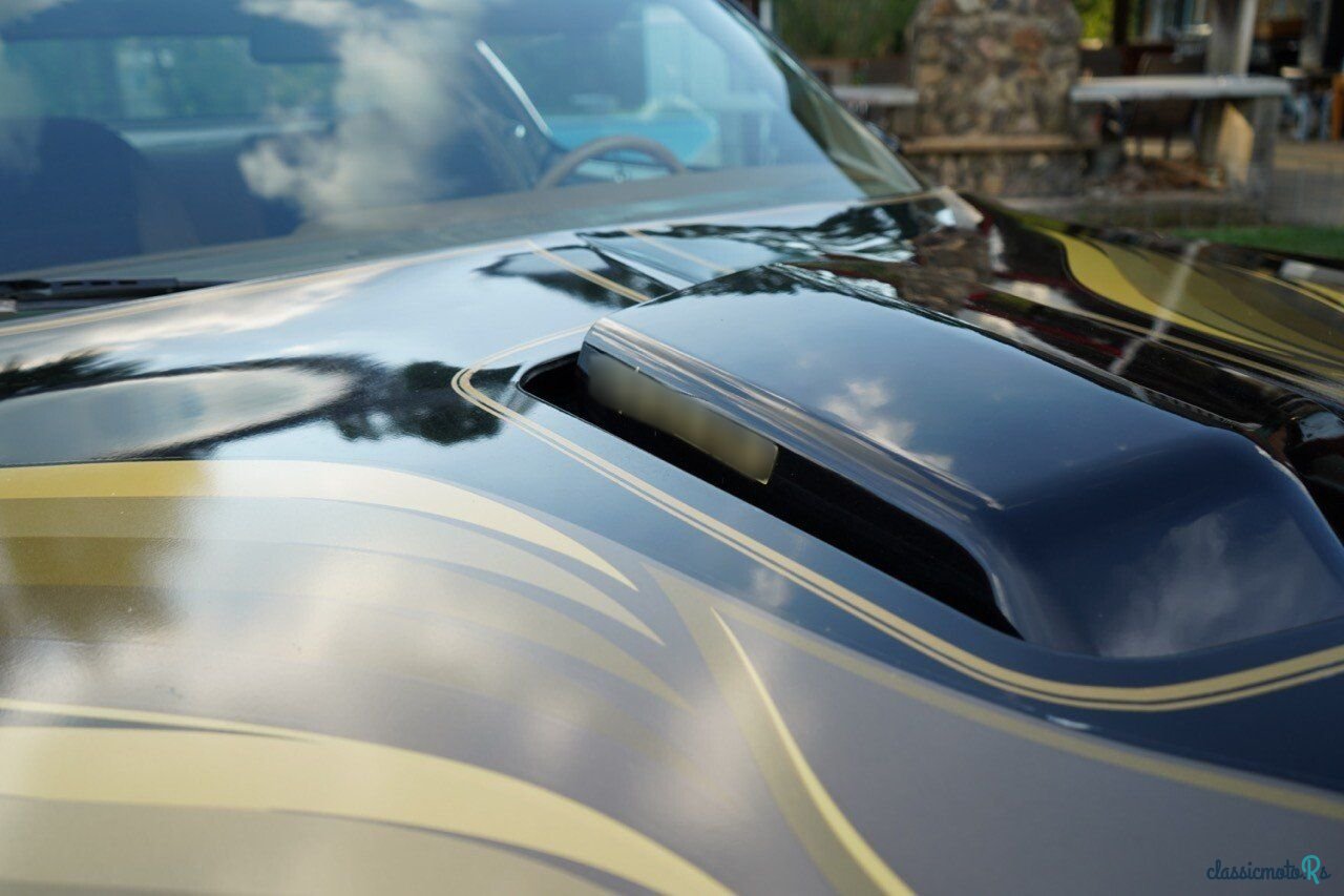 1979' Pontiac Firebird photo #5