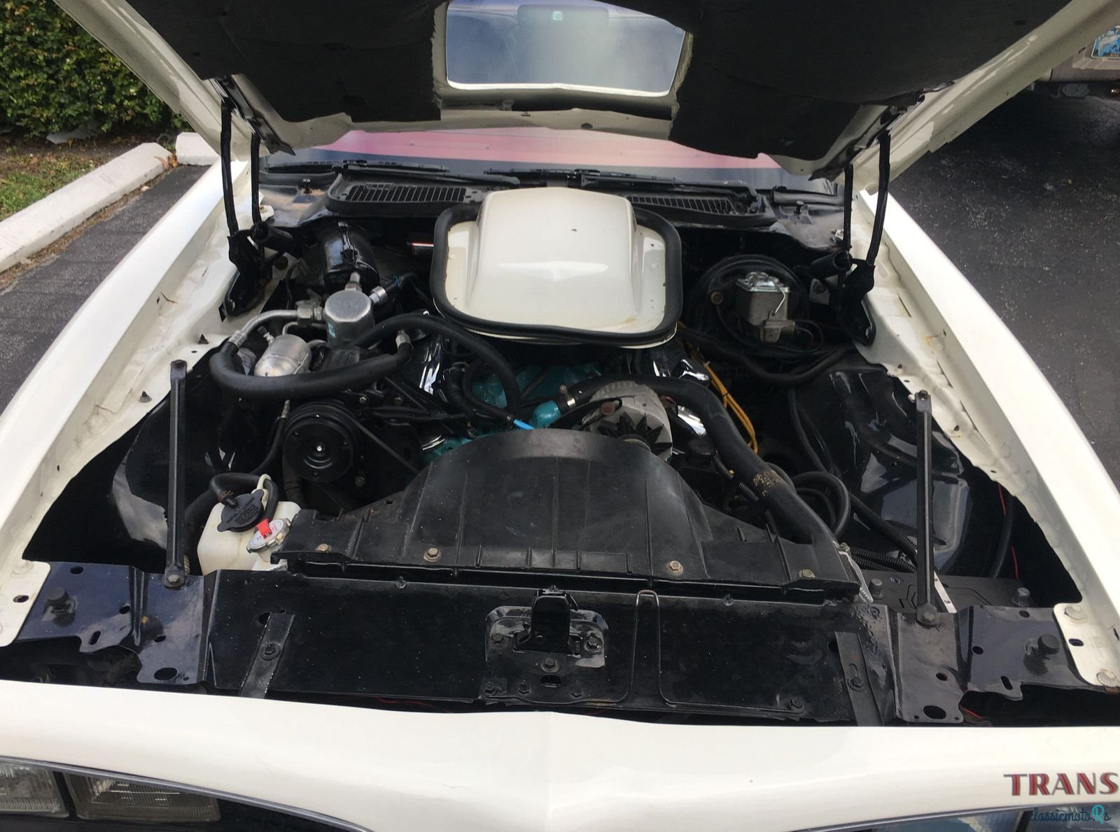 1977' Pontiac Firebird photo #5