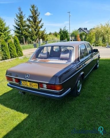 1979' Mercedes-Benz W123 photo #6