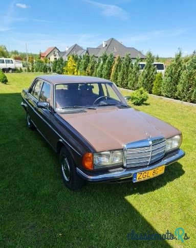 1979' Mercedes-Benz W123 photo #1