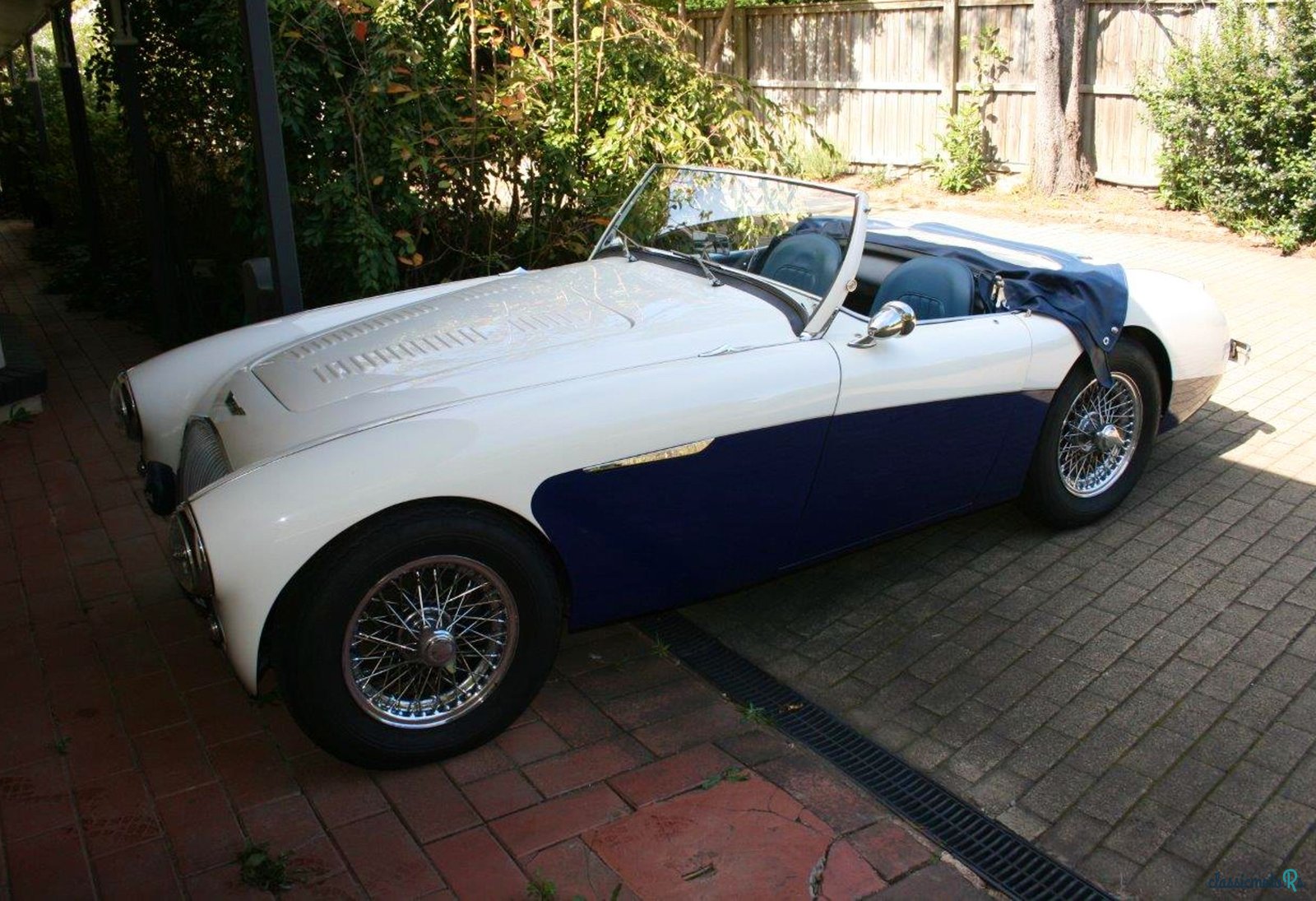 1955' Austin-Healey 100 Bn2 photo #1