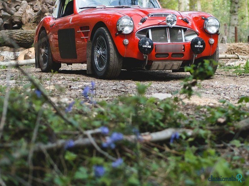 1960' Austin-Healey 3000 photo #6