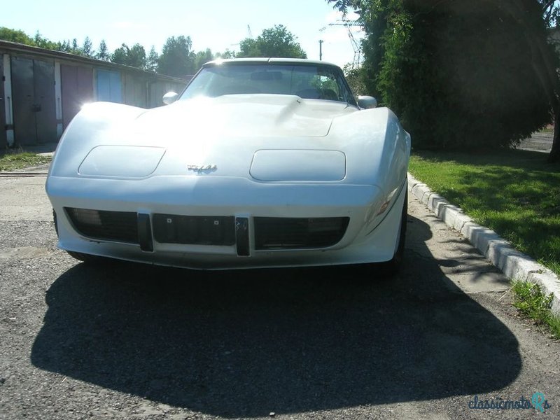 1977' Chevrolet Corvette photo #3