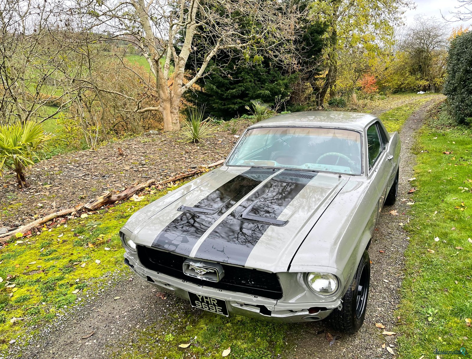 1967' Ford Mustang photo #1