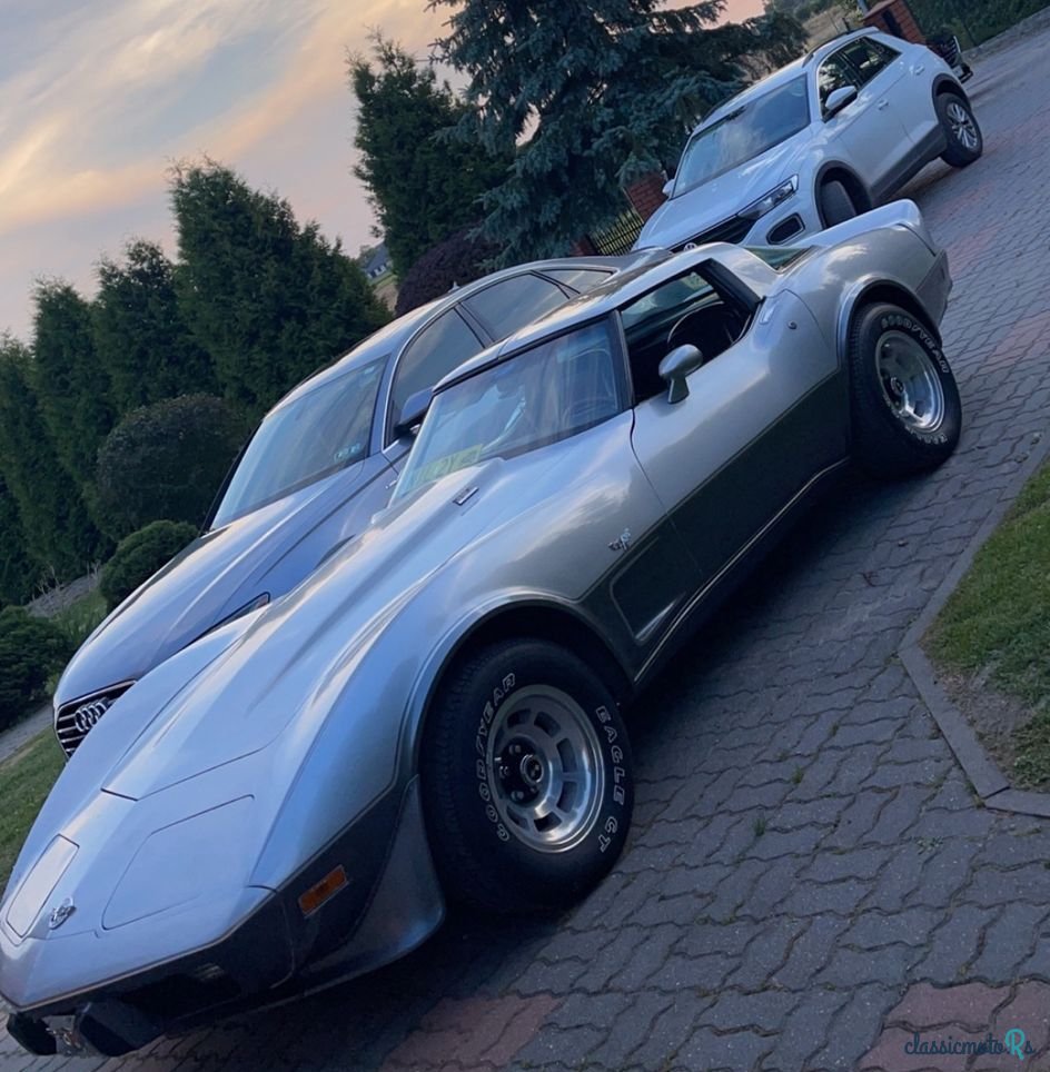 1978' Chevrolet Corvette photo #1