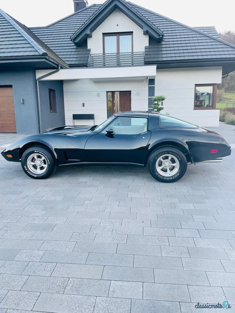 1979' Chevrolet Corvette photo #1