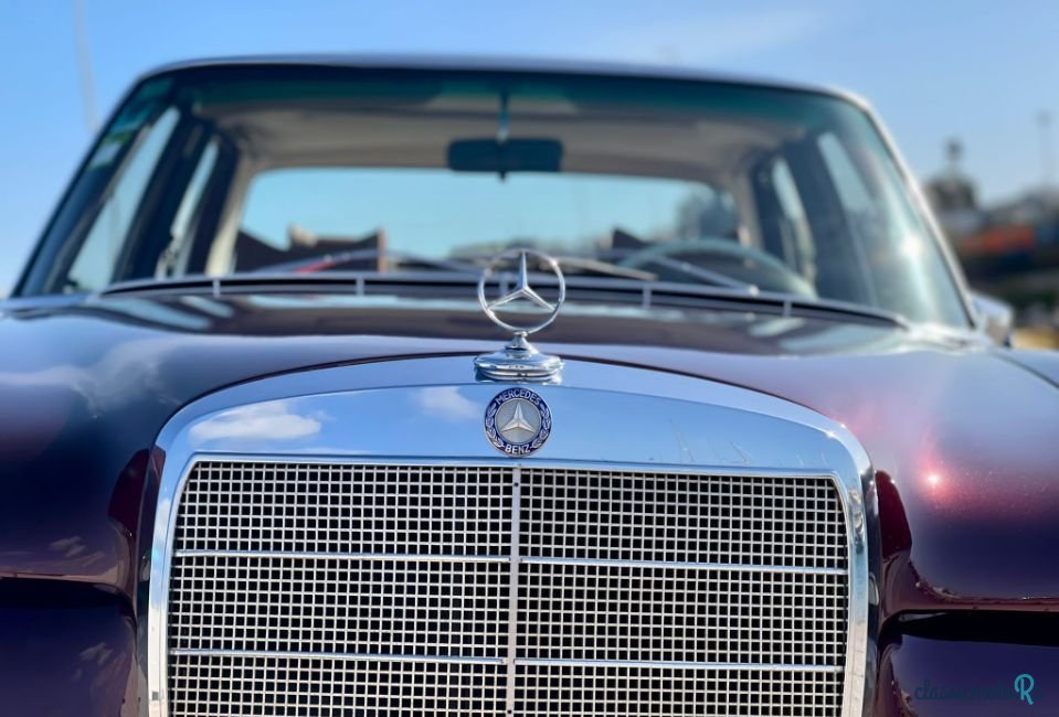 1967' Mercedes-Benz 250 photo #5
