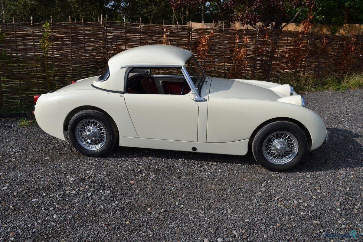 1961' Austin-Healey Sprite photo #6