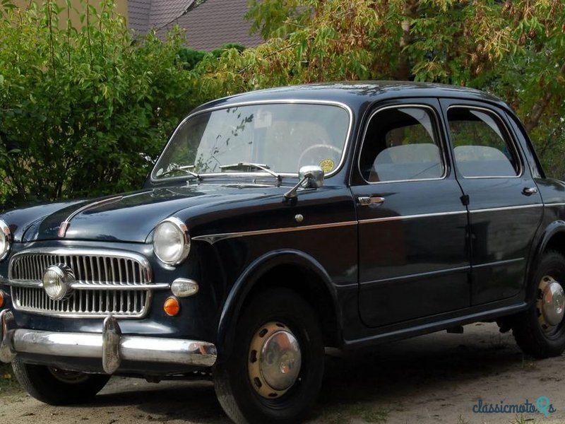 1957' Fiat 1100 Steyr photo #1