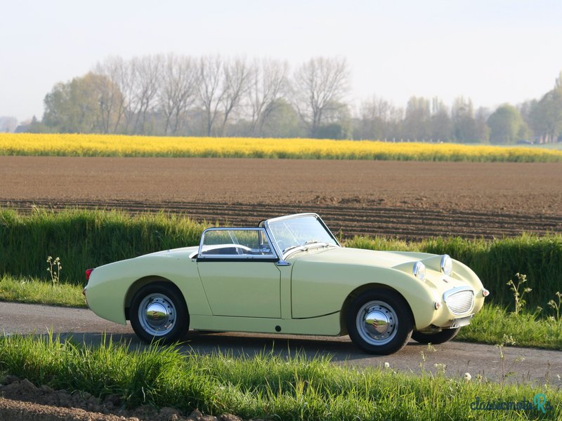 1960' Austin-Healey Frogeye photo #1