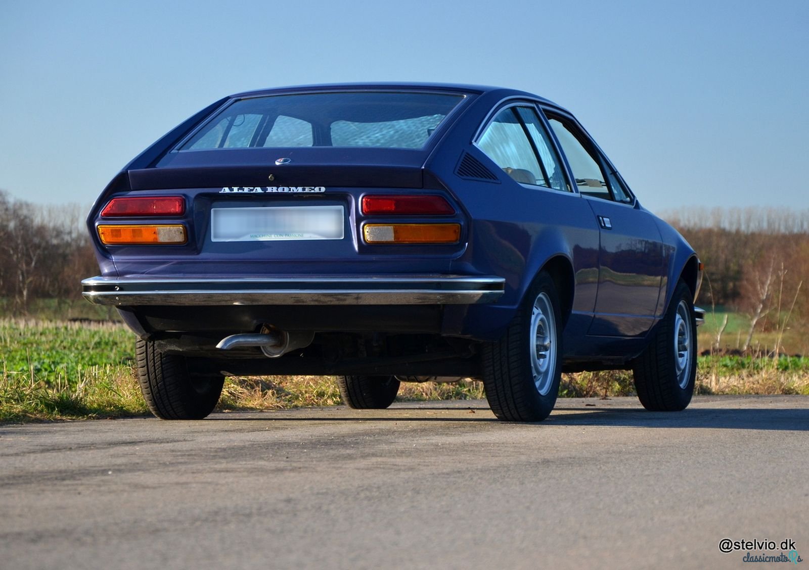 1977' Alfa Romeo Alfetta photo #6