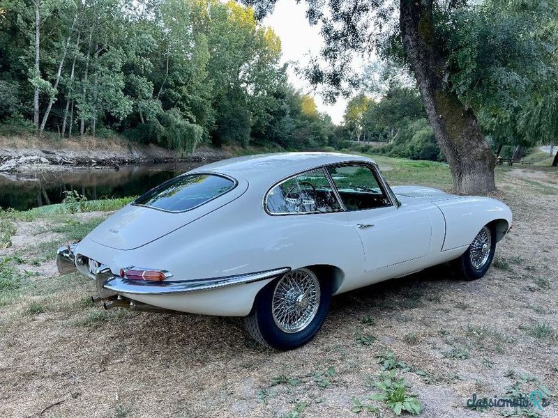 1963' Jaguar E-Type photo #4