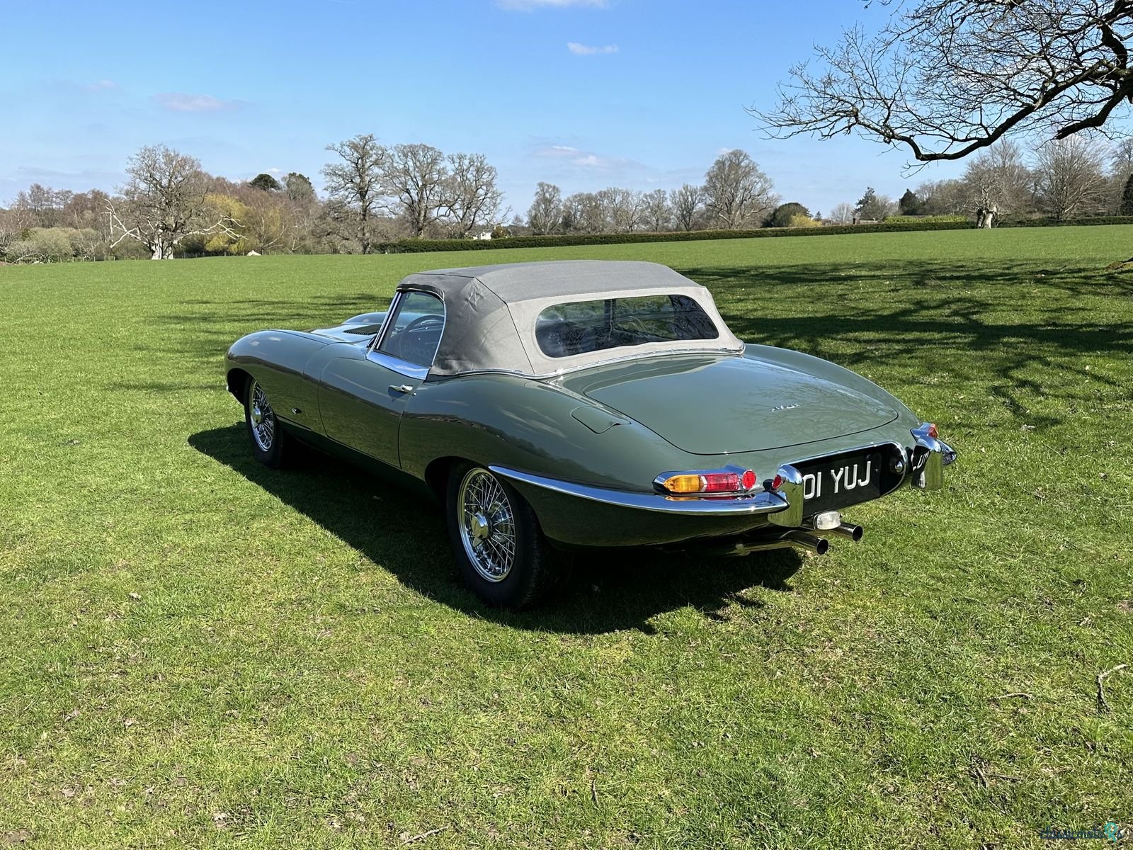 1961' Jaguar E-Type photo #4