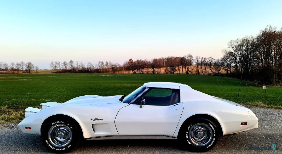 1975' Chevrolet Corvette photo #3