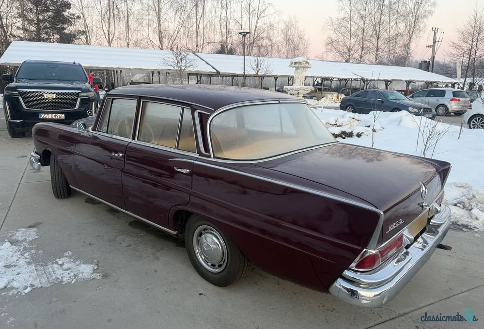 1963' Mercedes-Benz 220S W111 photo #3