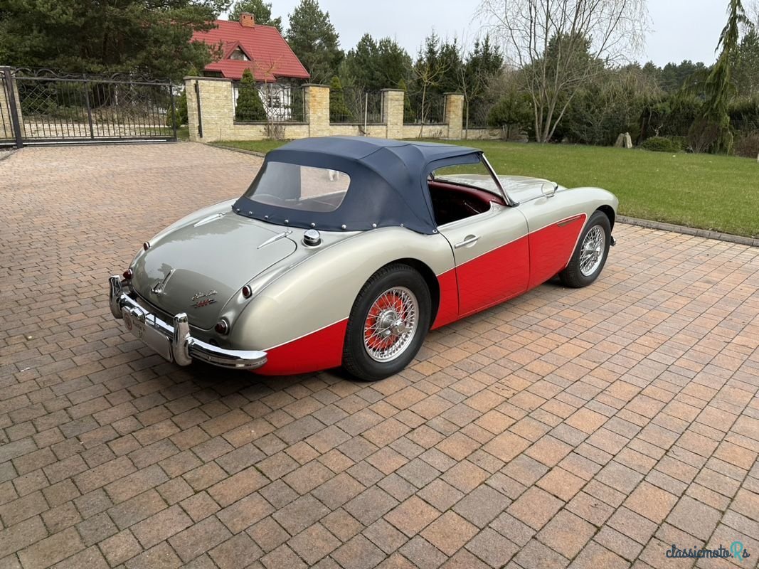 1960' Austin Healey photo #4