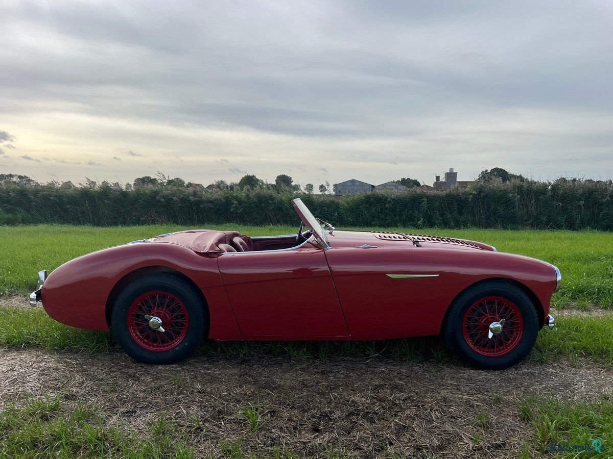 1954' Austin-Healey 100 photo #6