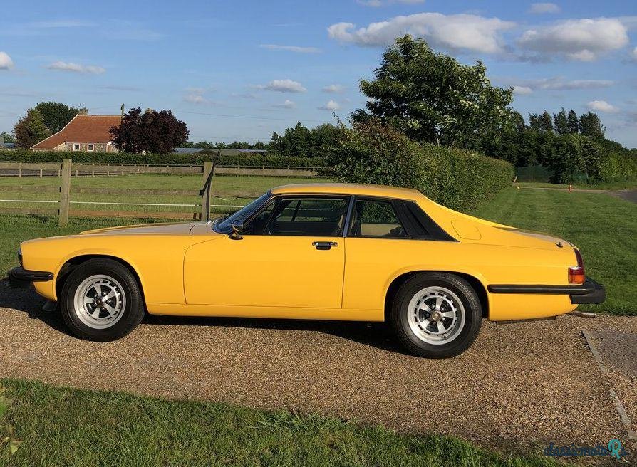 1977' Jaguar XJS photo #4
