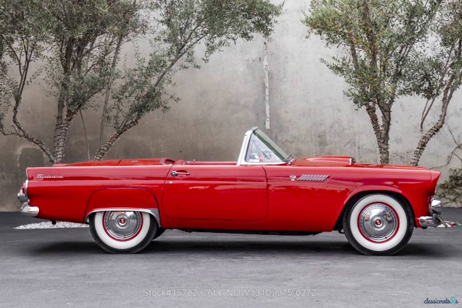 1955' Ford Thunderbird photo #2