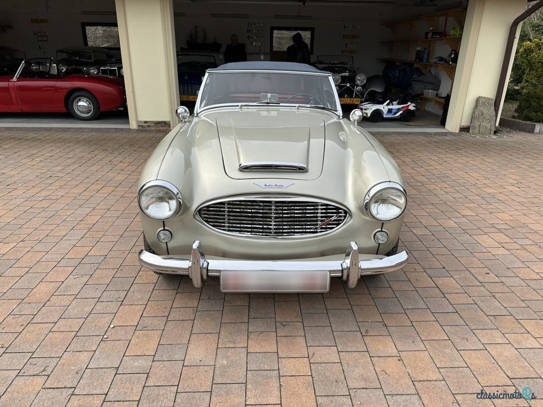 1960' Austin Healey photo #2