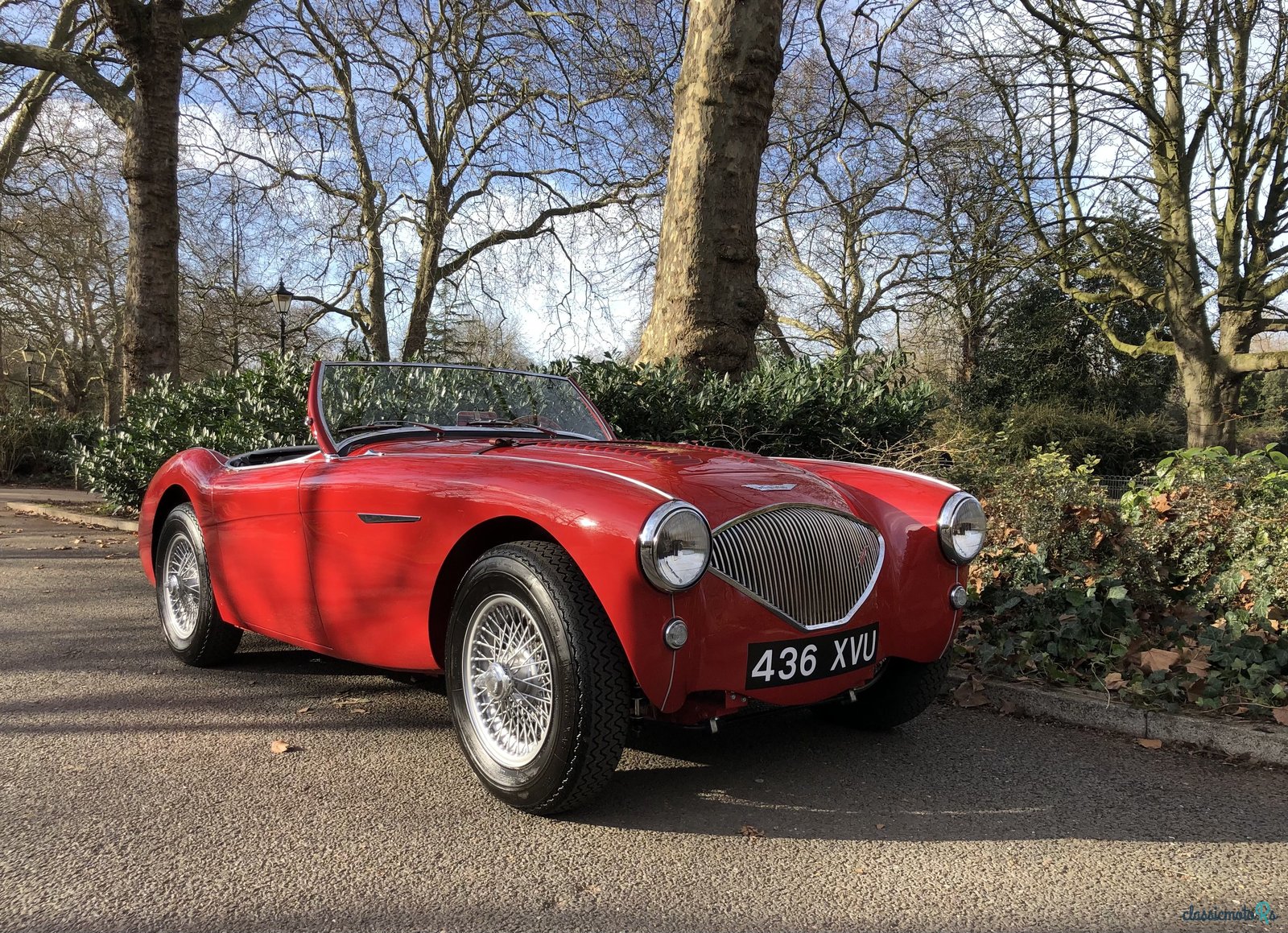 1956' Austin-Healey 100M photo #2