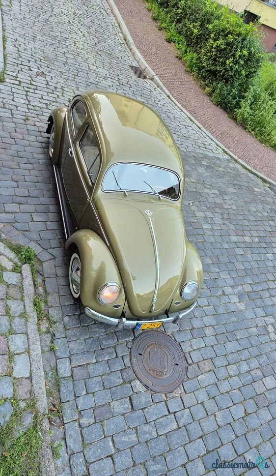 1956' Volkswagen Garbus photo #2