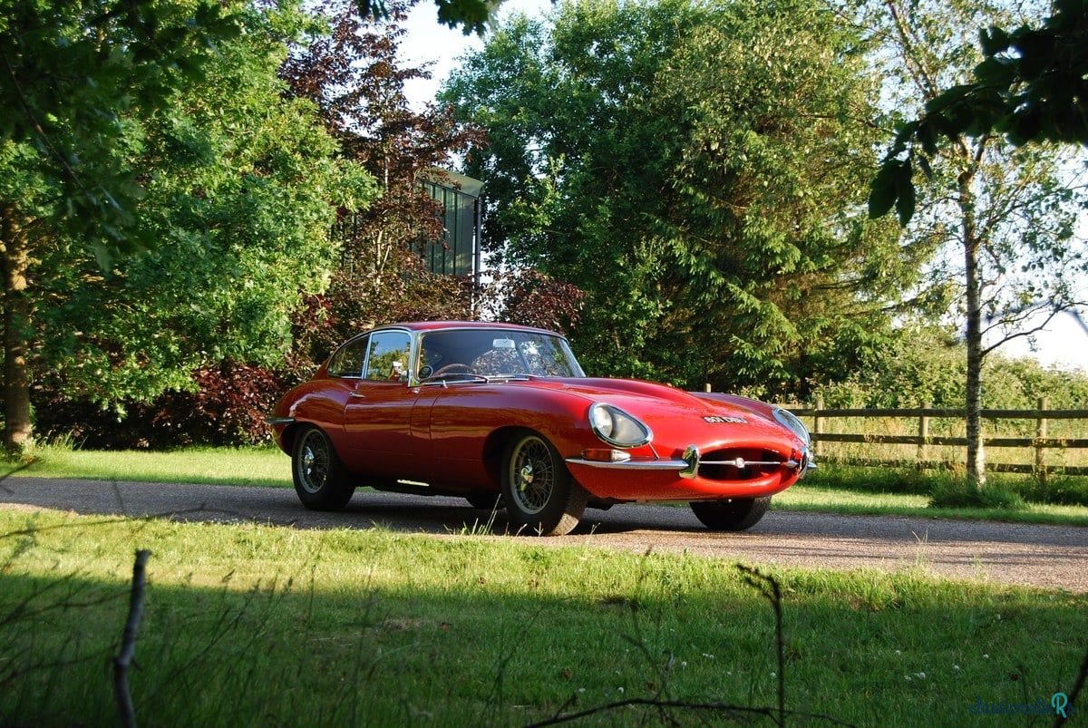 1962' Jaguar E-Type photo #1