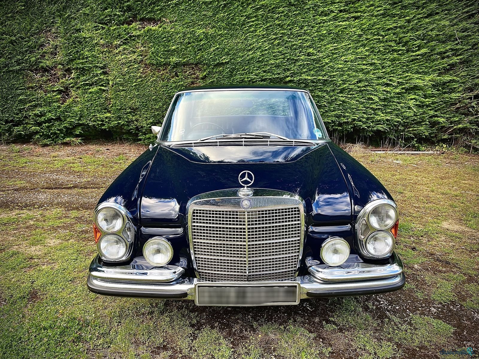 1972' Mercedes-Benz 280 Se photo #3