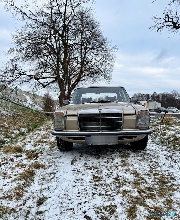 1974' Mercedes-Benz W115 photo #5