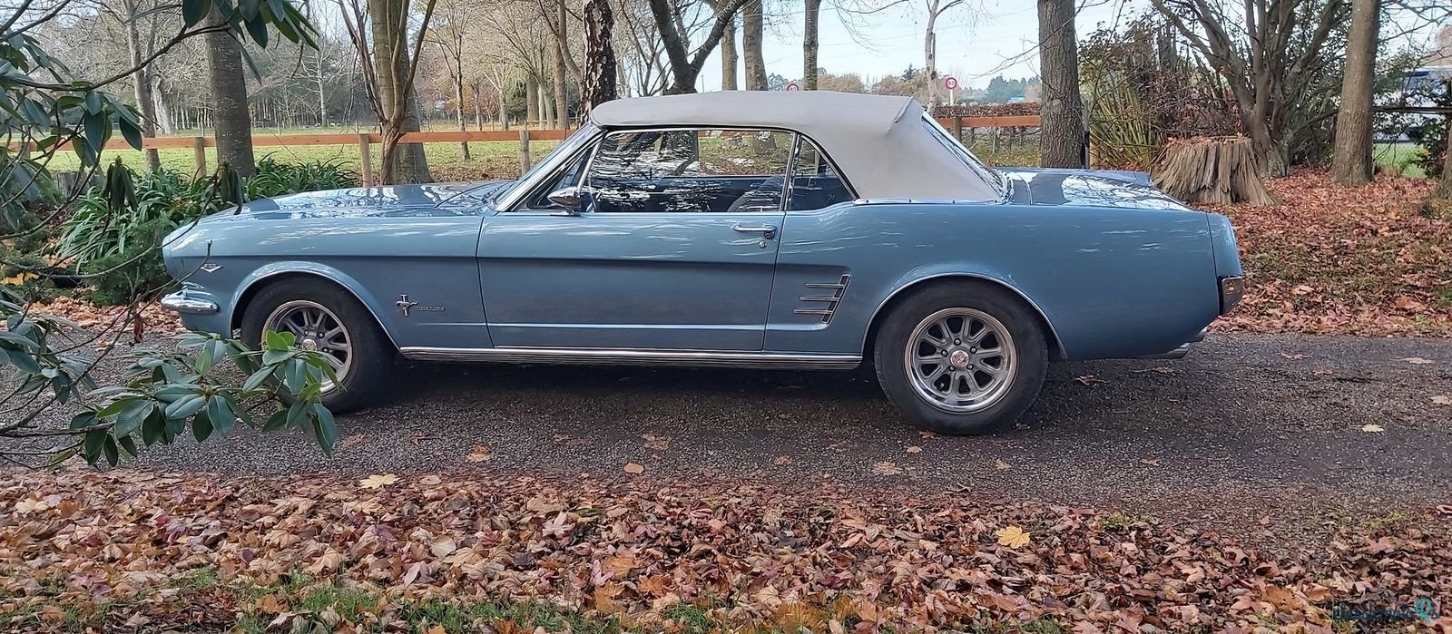 1966' Ford Mustang photo #3