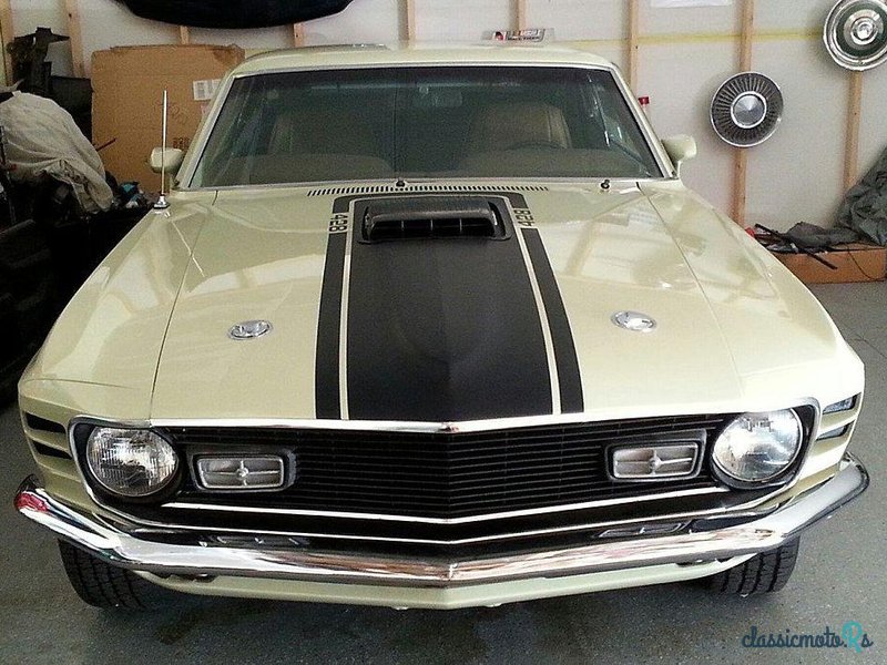 1970' Ford Mustang photo #1