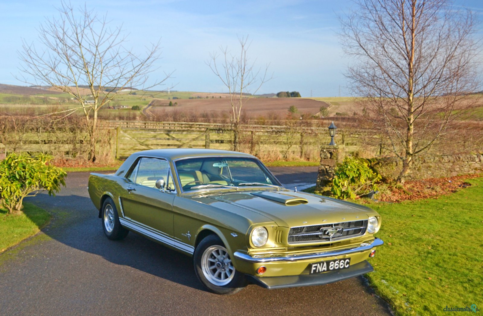 1965' Ford Mustang photo #1