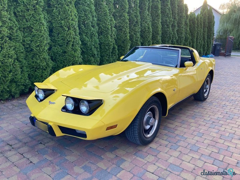 1979' Chevrolet Corvette photo #1