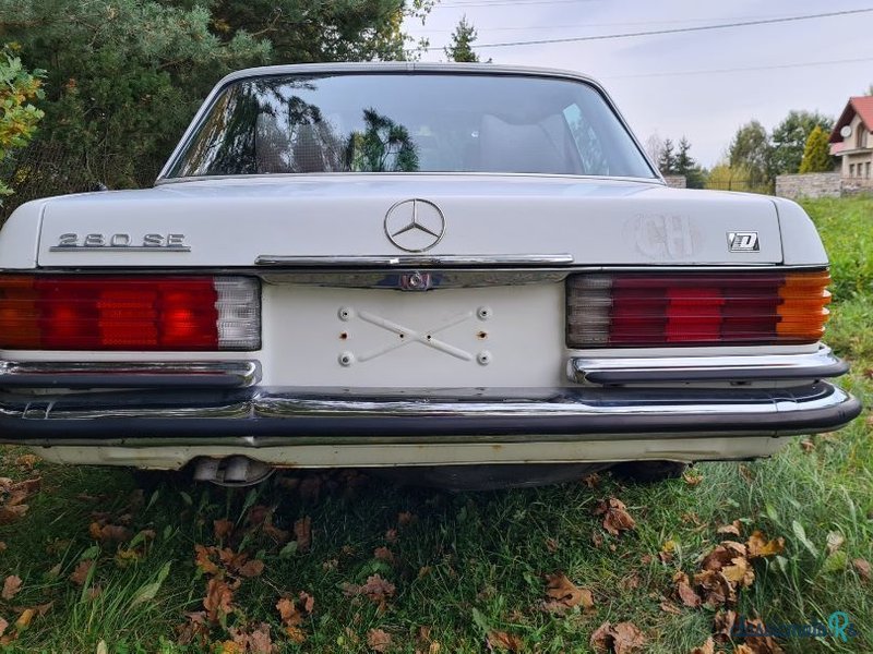 1979' Mercedes-Benz 280 photo #5