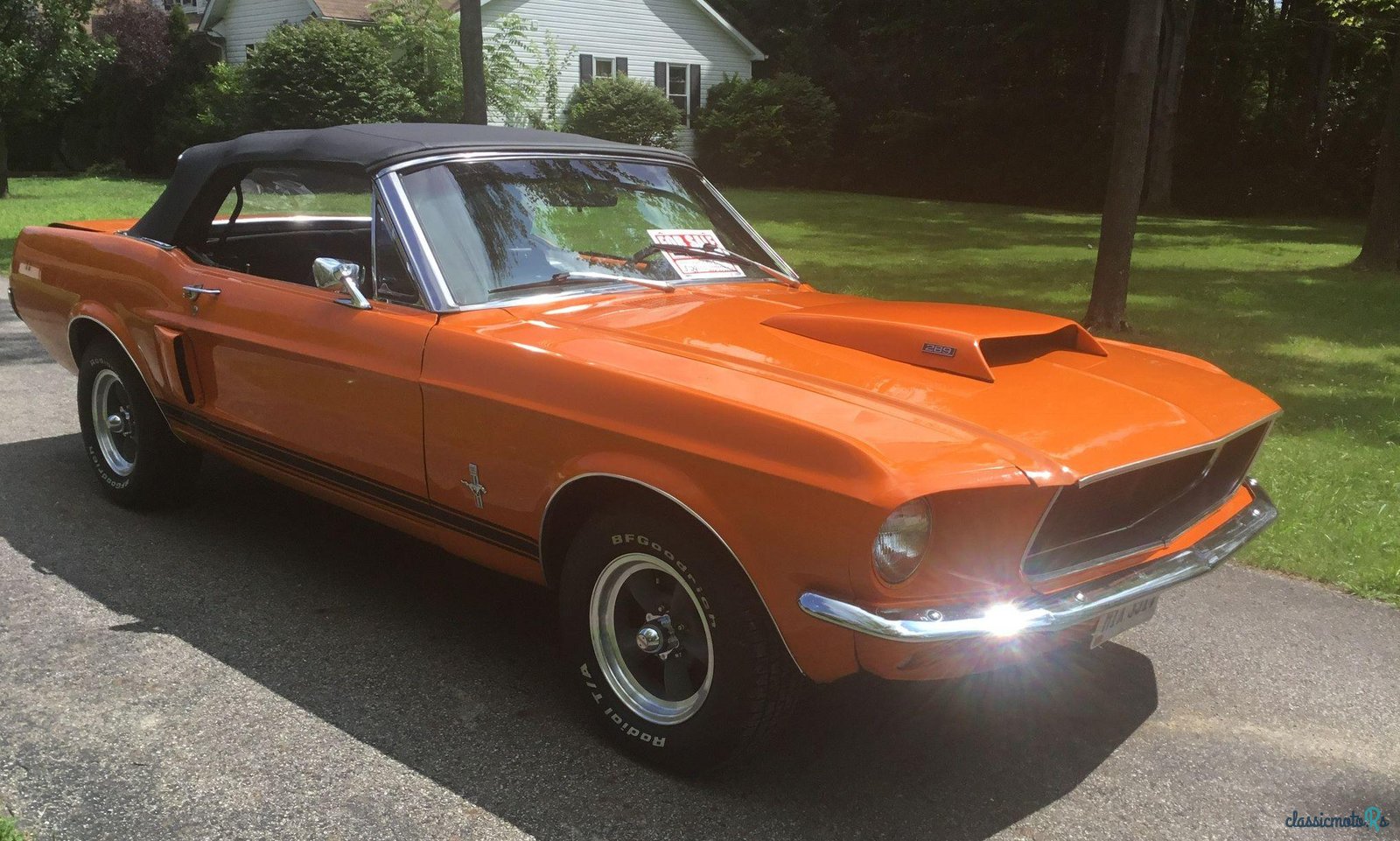 1967' Ford Mustang photo #4