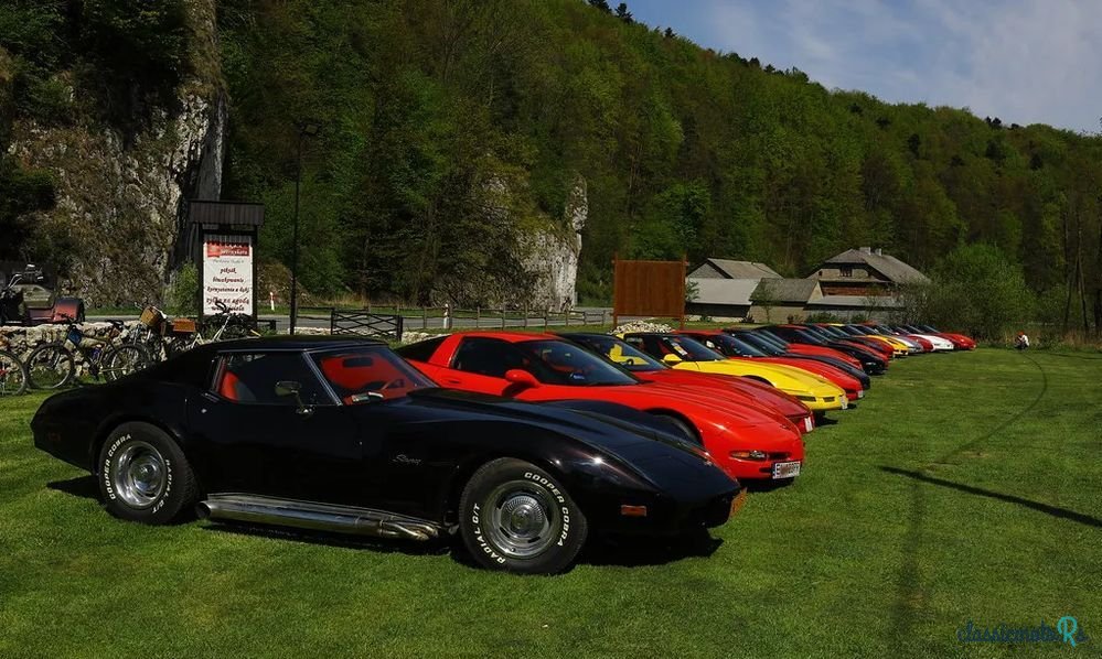 1976' Chevrolet Corvette photo #1