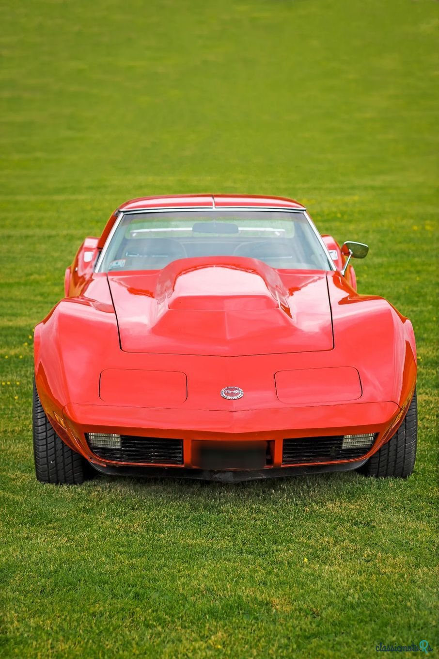 1974' Chevrolet Corvette photo #2