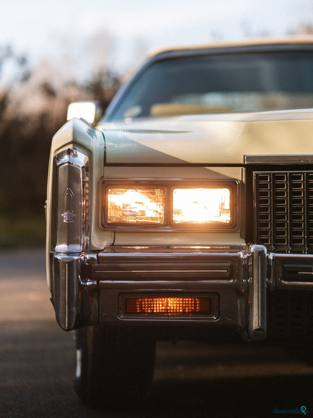 1976' Cadillac Eldorado photo #1