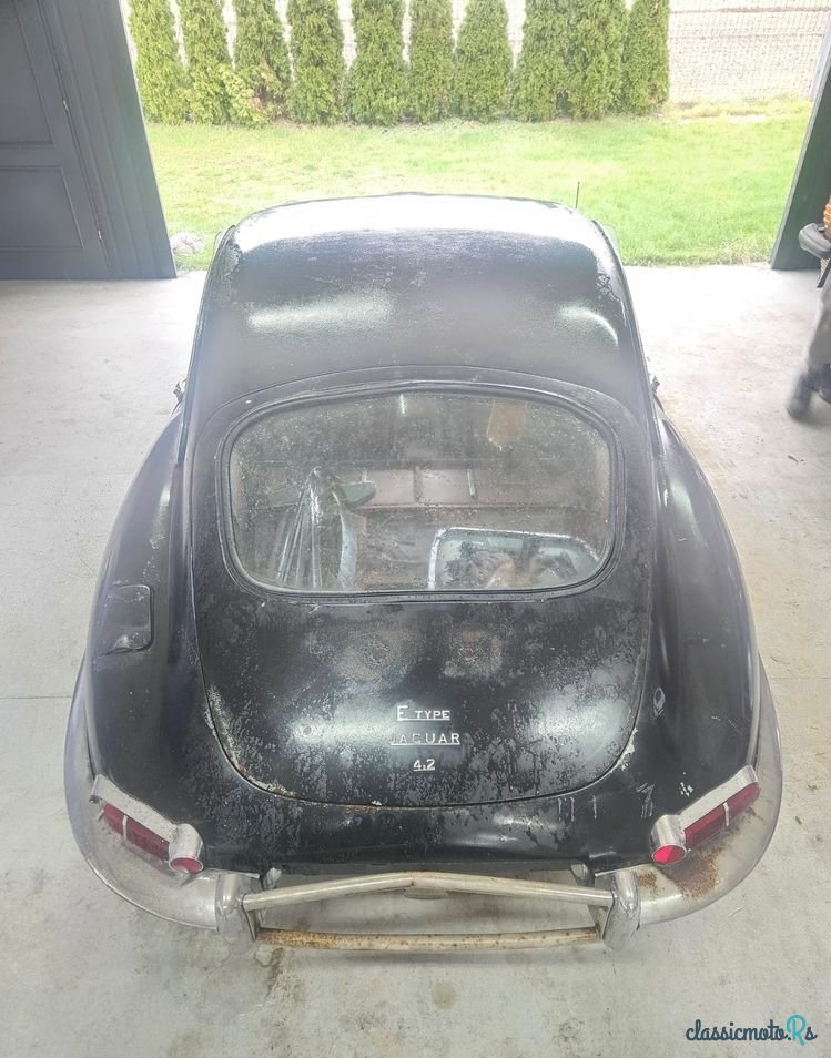 1965' Jaguar E-Type photo #6