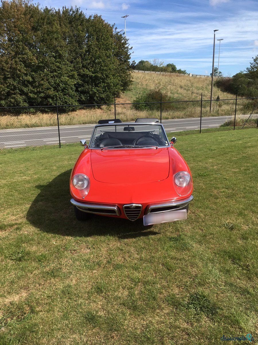 1968' Alfa Romeo Spider Duetto photo #2